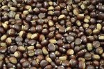 marroni, chestnuts, chestnut